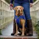 Weaterbeeta ComFiTec Premier Free Parka Deluxe hondenjas Medium